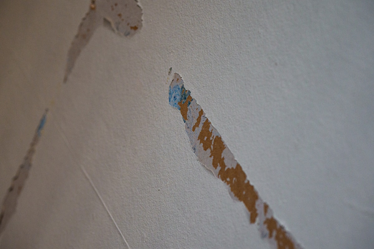 Sewage Cleanup service in Millcreek, UT